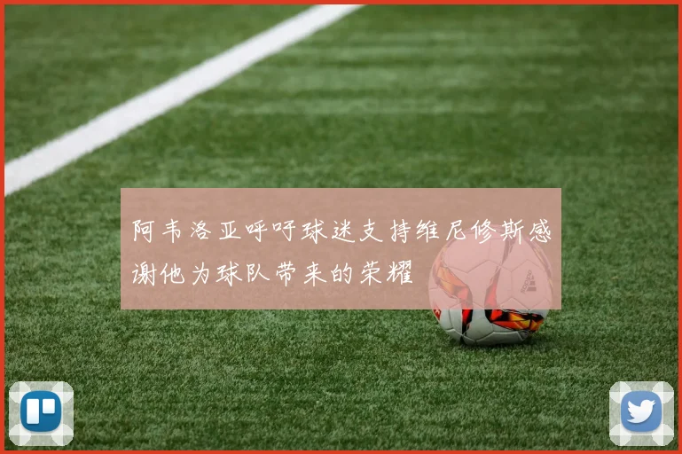 阿韦洛亚呼吁球迷支持维尼修斯感谢他为球队带来的荣耀