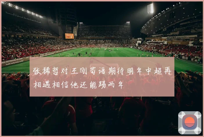 张稀哲对王刚寄语期待明年中超再相遇相信他还能踢两年
